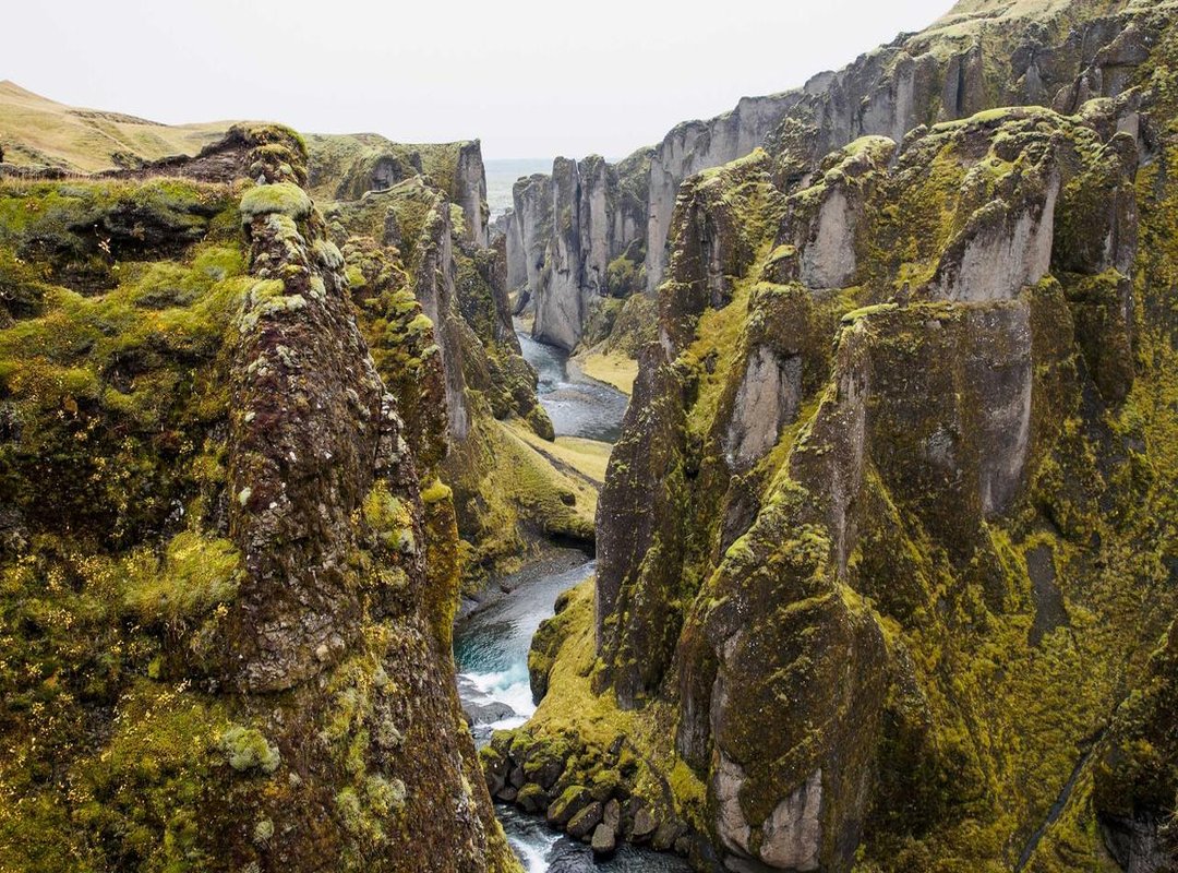 Strategic Placement: Where to Put Your Wolf Tattoo on Your Arm