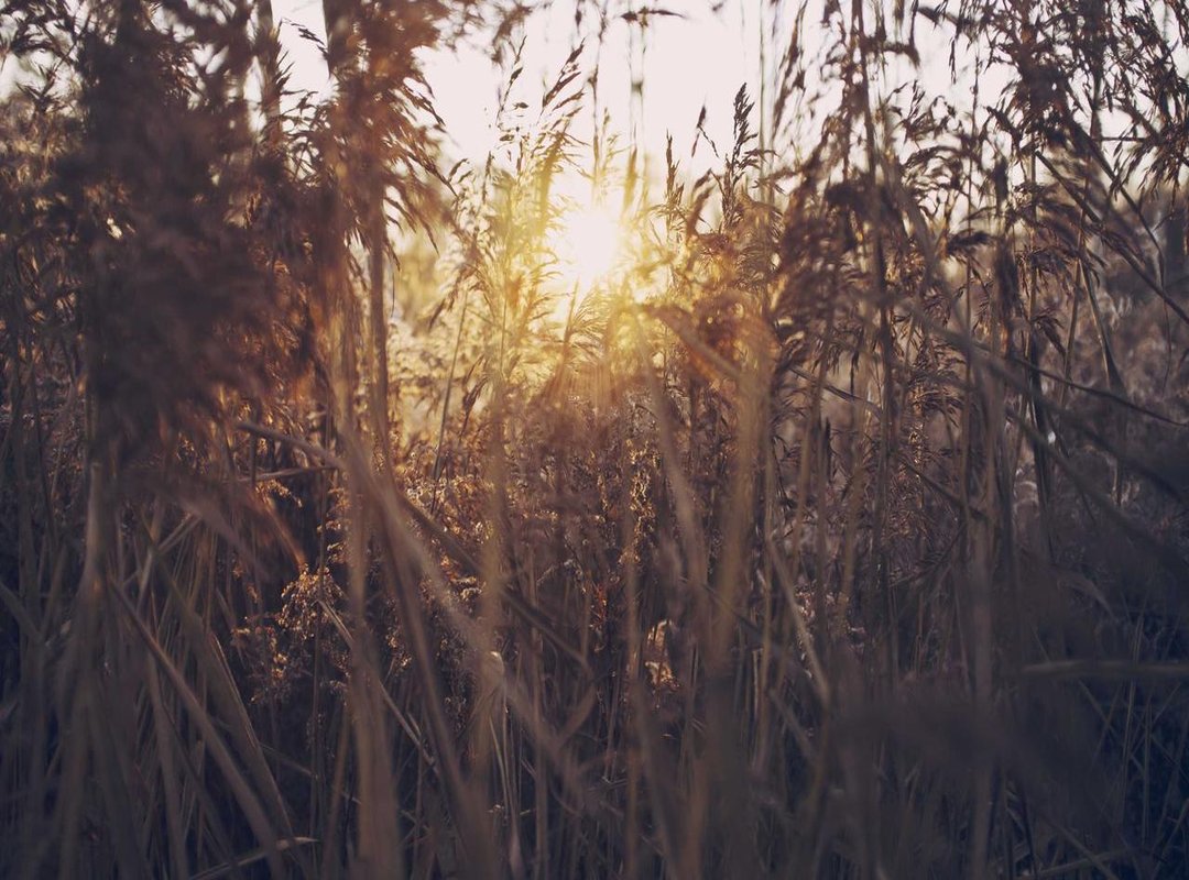 The Truth About 'Infinite Boosters': Glitches and Time Hacks