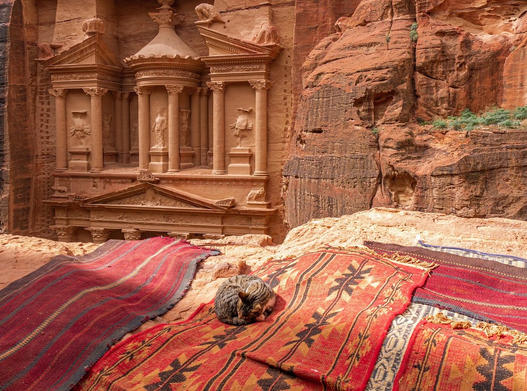 The Enduring Legacy of Doña Petra's Healing