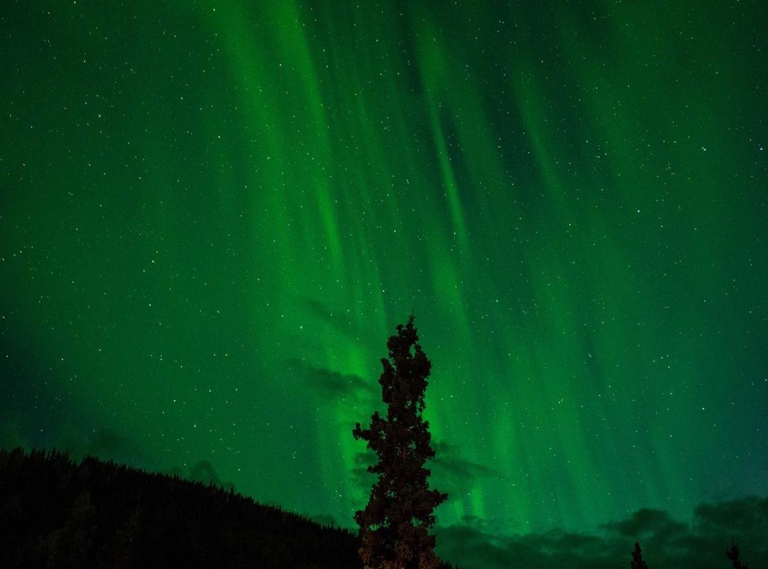 Automate Your Countdown: The Best Digital Tools and Apps