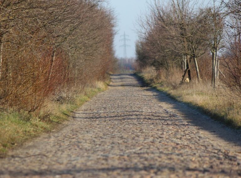 How Often to Use Zurejole Used