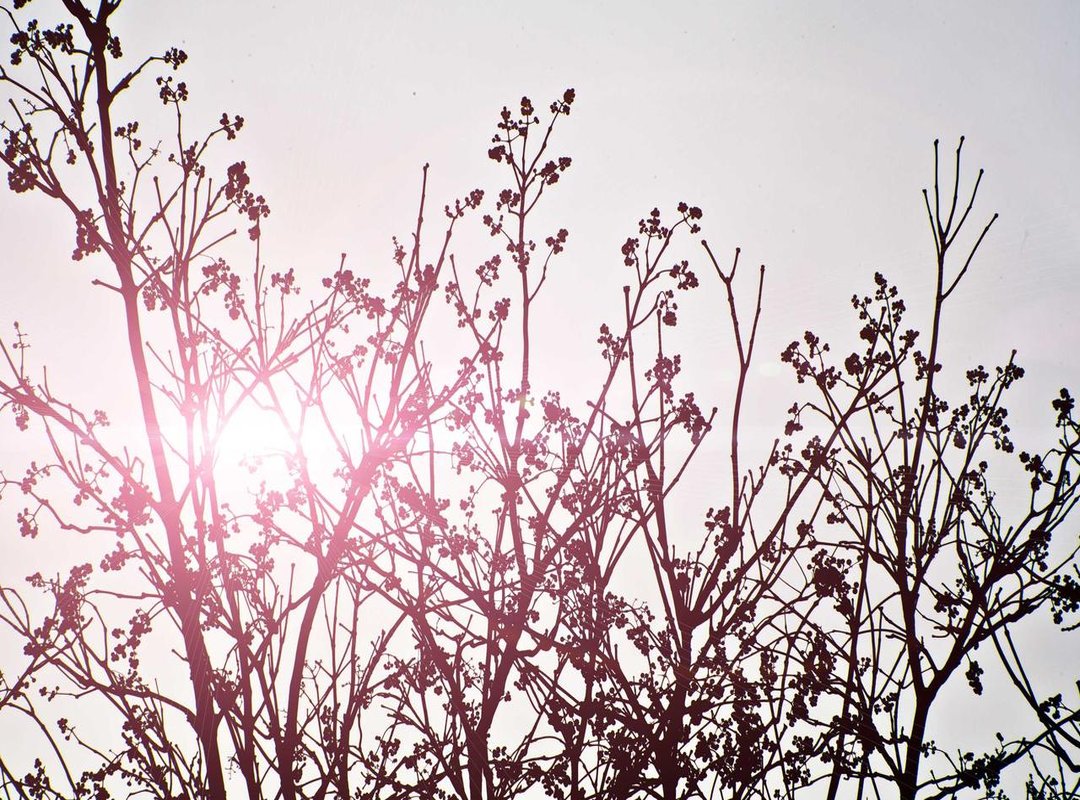 Wearing Heritage: The Modern Role of Indigenous Attire